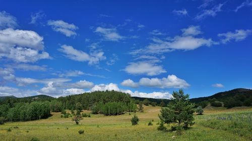 Scenic view of field against sky