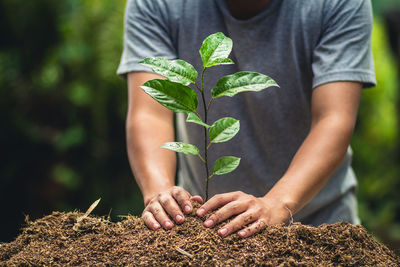 Midsection of man holding plant