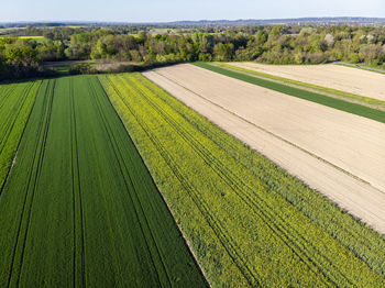 Scenic view of agricultural field