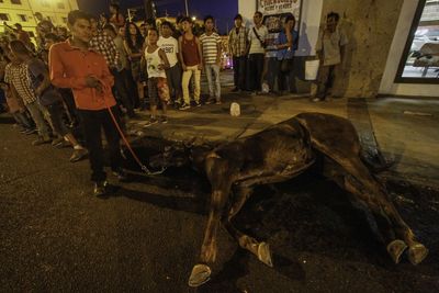 People standing by dog