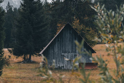 Moody autumn scenery with old wooden hut on meadow surrounded by pine forest.