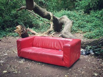 Red toy on landscape against trees