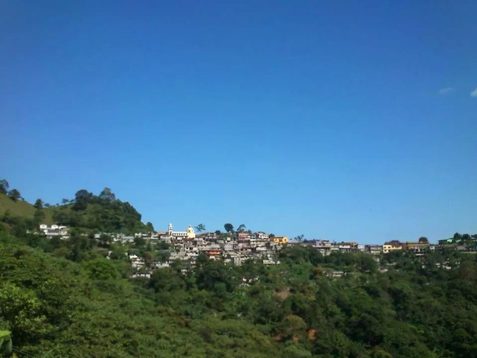 clear sky, copy space, building exterior, architecture, built structure, blue, tree, house, residential structure, residential building, residential district, high angle view, town, city, nature, landscape, growth, outdoors, day, green color