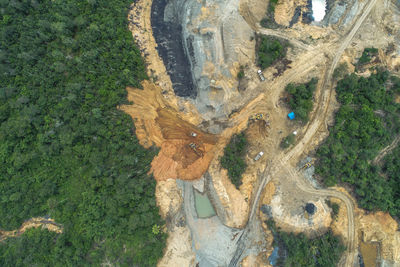 High angle view of trees on land