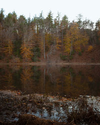 Scenic view of lake in forest against sky