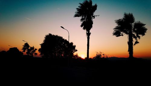 Silhouette trees against sky during sunset