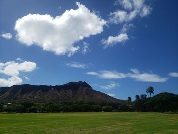 Scenic view of field against sky