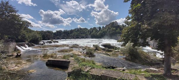 Scenic view of river amidst trees against sky