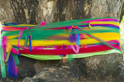 Close-up of multi colored umbrellas on tree trunk