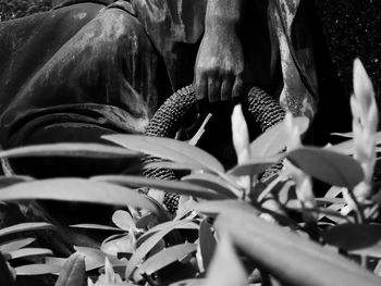 Cropped image of statue by plants