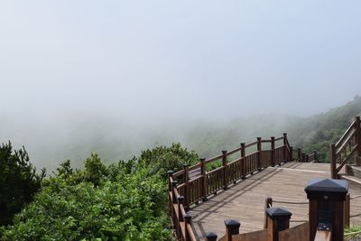 Rear view of people on mountain during rainy season