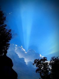 Low angle view of trees against blue sky