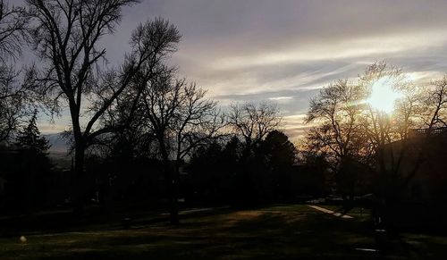 Silhouette bare trees against sky during sunset