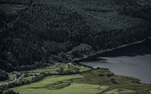 High angle view of trees growing by lake at snowdonia national park
