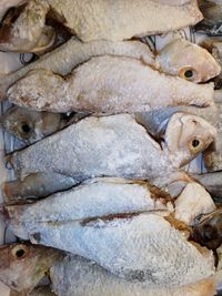 High angle view of fish for sale in market