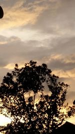 Low angle view of silhouette trees against sky during sunset