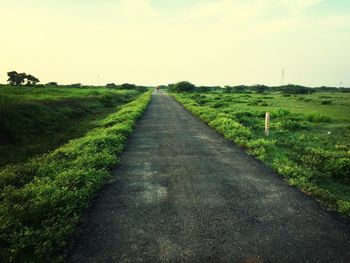 Road passing through grassy field