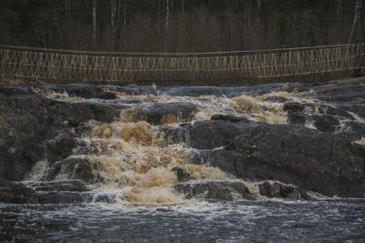 Scenic view of river flowing in forest