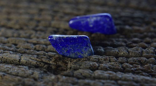 Close-up of blue stone on rock