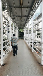 Full length of woman standing in greenhouse