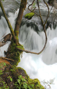 Scenic view of waterfall