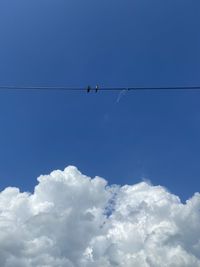 Low angle view of bird perching on cable against sky