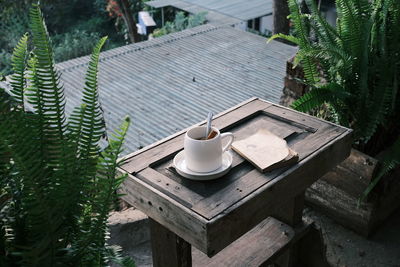 High angle view of potted plant