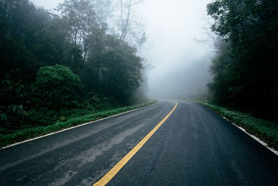 Empty road along trees