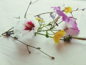 Close-up of flowers