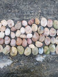 High angle view of pebbles