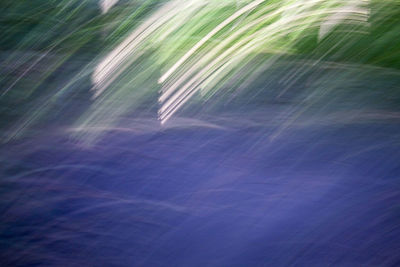 Full frame shot of tree