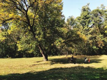 People in park