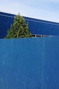 High section of trees against clear blue sky