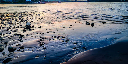 High angle view of birds on beach