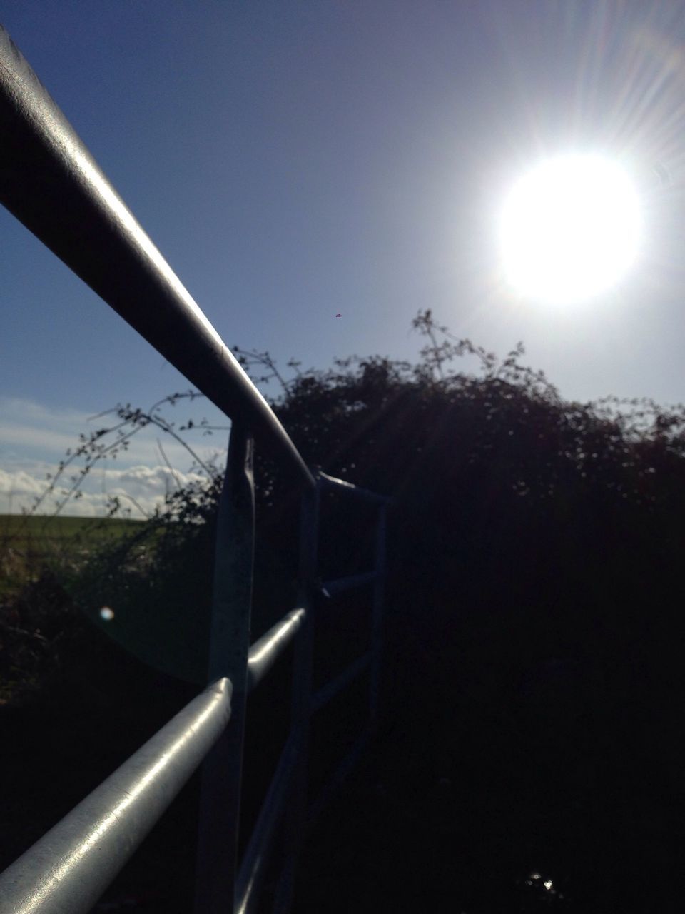 sun, sunbeam, sunlight, lens flare, sky, blue, clear sky, sunny, silhouette, low angle view, tree, nature, railing, growth, tranquility, day, beauty in nature, no people, bright, outdoors