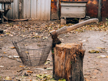 Old weathered wood