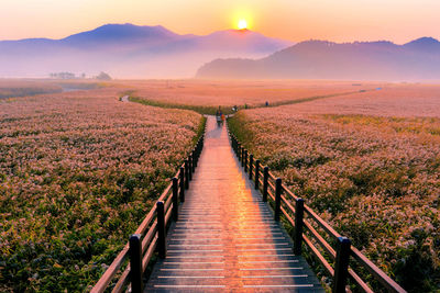 Scenic view of landscape during sunrise