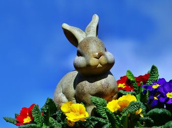 Low angle view of flowers against blue sky