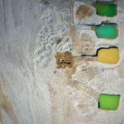 High angle view of christmas decoration