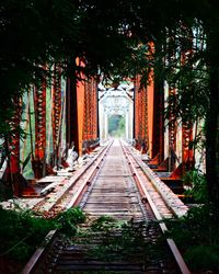 Walkway amidst trees