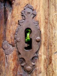 Close-up of door knocker