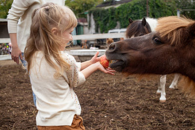 Side view of woman with horse on field