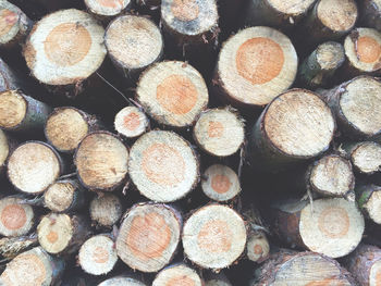 Full frame shot of stacked logs