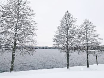 Trees on snow covered landscape against clear sky