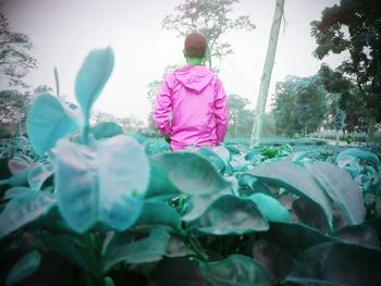 Rear view of man with pink petals and leaves