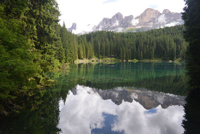 Scenic view of lake by trees against sky