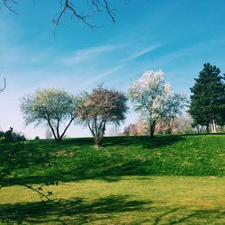 Scenic view of grassy field against cloudy sky