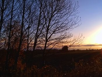 Silhouette bare trees on field against sky at sunset