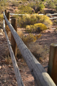 Close-up of wood