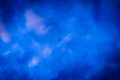 Low angle view of birds flying in sky